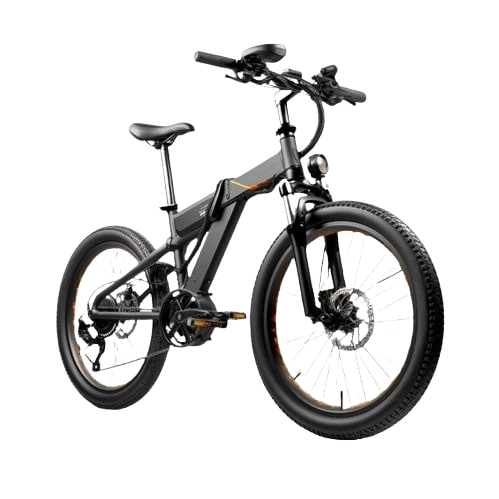 Electric Bicycle
